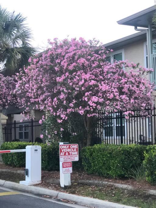 Happy Heron, Steps To Beach Panama City Beach Exterior foto